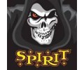 http://www.spirithalloween.com/
